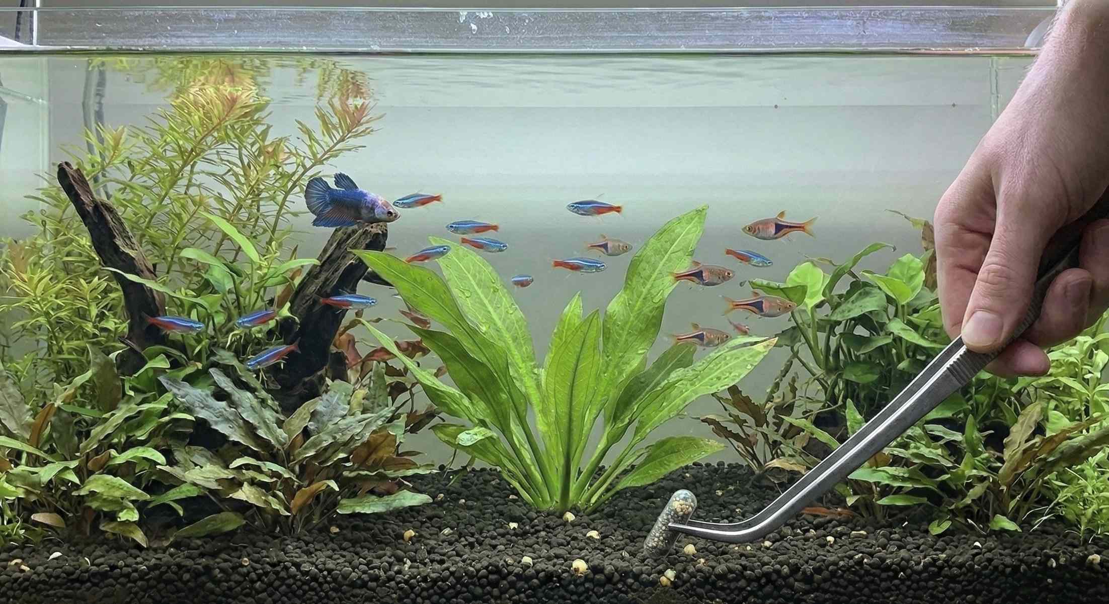 Slow Release Root Fertiliser & Mycorrhizal Fungi for Plants